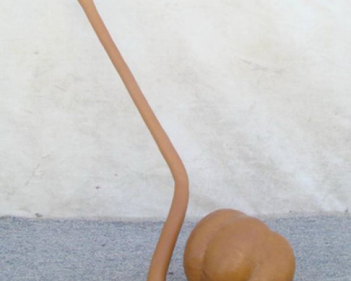 葫蘆|bottle gourd