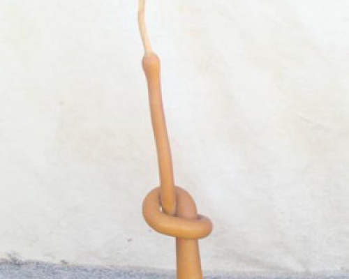 葫蘆|bottle gourd