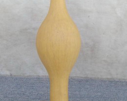 葫蘆|bottle gourd