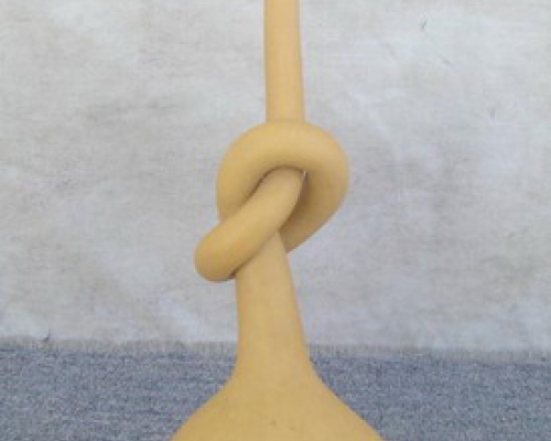 葫蘆|bottle gourd