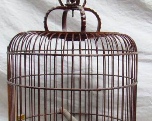 鳥籠|bird cage