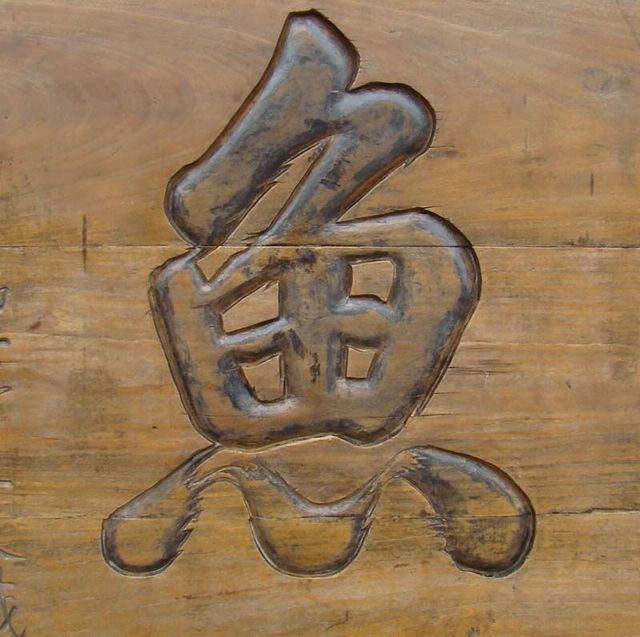 夢兆多魚|panel