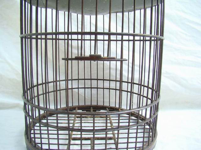 鳥籠|bird cage