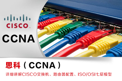 網(wǎng)絡(luò)工程 構(gòu)建數(shù)字化時代的基石