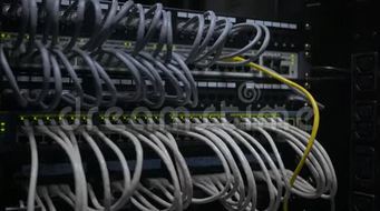 網(wǎng)絡(luò)工程 構(gòu)建數(shù)字世界的橋梁