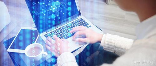 網(wǎng)絡(luò)工程 冷門(mén)專業(yè)的現(xiàn)實(shí)挑戰(zhàn)與性別迷思