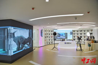 重慶南岸區實現5G全覆蓋，網絡技術服務強力驅動智能制造新飛躍