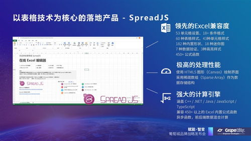 葡萄城發布“賦能開發者”業務使命 聚焦教育軟件研發，構筑未來教育新生態
